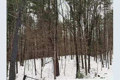 14-2 Jewett Road, Hopkinton, NH 03229 - Photo 3