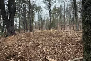 142 Jewett Rd, Hopkinton, NH 03229 - Photo 1