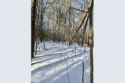 Lot 80-1 Currier Road, Candia, NH 03034 - Photo 3