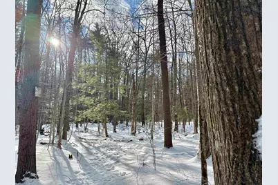 Lot 80-1 Currier Road, Candia, NH 03034 - Photo 21