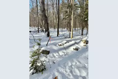 Lot 80-1 Currier Road, Candia, NH 03034 - Photo 7