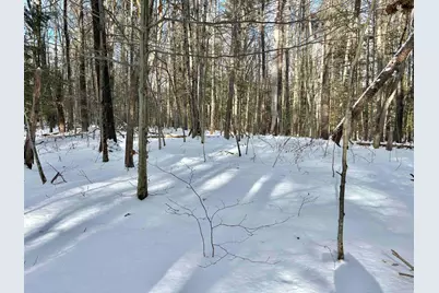 Lot 80-1 Currier Road, Candia, NH 03034 - Photo 5