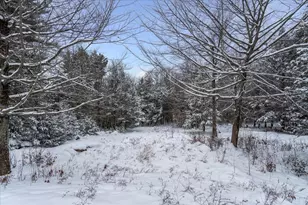 102 Valley Rd, Dublin, NH 03444 - Photo 43