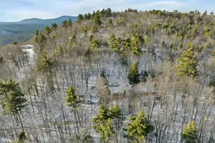 408 Albert Rd, Madison, NH 03849 - Photo 43