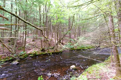 525 Richmond Road, Winchester, NH 03470 - Photo 5