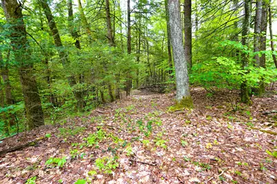 525 Richmond Road, Winchester, NH 03470 - Photo 27