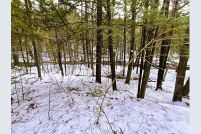 525 Richmond Road, Winchester, NH 03470 - Photo 3