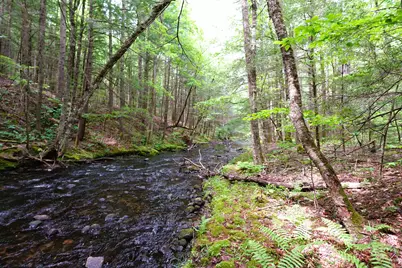 525 Richmond Road, Winchester, NH 03470 - Photo 7