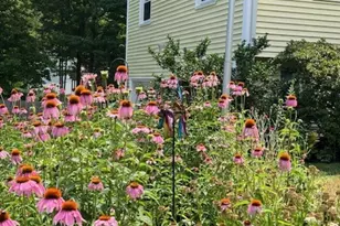 5 Alden Ave, North Hampton, NH 03862 - Photo 47