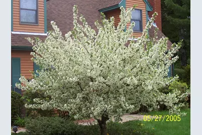 7 Turkey Ridge Road, Newmarket, NH 03857 - Photo 41