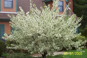 7 Turkey Ridge Rd, Newmarket, NH 03857 - Photo 41