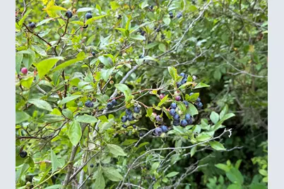 10-2 Ingalls Road, Jaffrey, NH 03452 - Photo 5