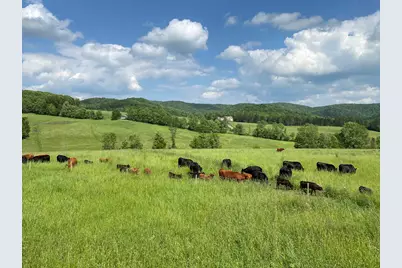 344 Morrie Road, Washington, VT 05675 - Photo 15