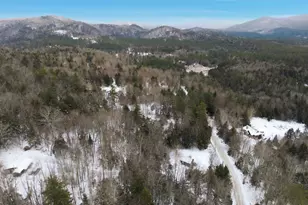 295 Cheever Rd, Wentworth, NH 03282 - Photo 45