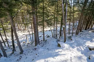 535 Beard Rd, Hillsboro, NH 03244 - Photo 53