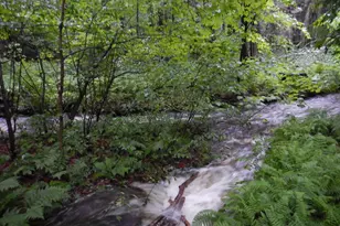 138 Stone Pond Rd, Marlow, NH 03456 - Photo 59