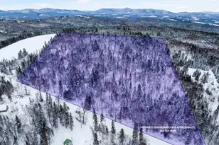 242 Noyes Rd, Stewartstown, NH 03576 - Photo 43