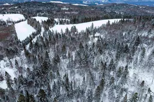 242 Noyes Rd, Stewartstown, NH 03576 - Photo 45