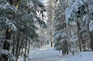 242 Noyes Rd, Stewartstown, NH 03576 - Photo 5