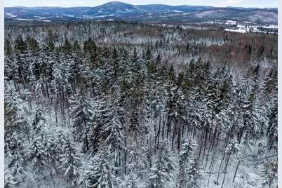 242 Noyes Road, Stewartstown, NH 03576 - Photo 55