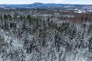 242 Noyes Rd, Stewartstown, NH 03576 - Photo 55