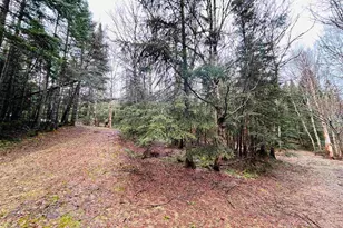 242 Noyes Rd, Stewartstown, NH 03576 - Photo 11