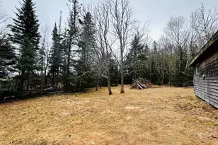 242 Noyes Rd, Stewartstown, NH 03576 - Photo 9