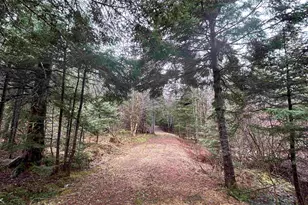 242 Noyes Rd, Stewartstown, NH 03576 - Photo 5