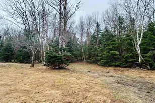 242 Noyes Rd, Stewartstown, NH 03576 - Photo 15