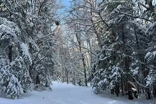 242 Noyes Rd, Stewartstown, NH 03576 - Photo 17