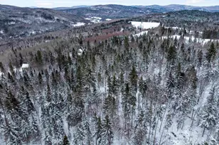 242 Noyes Rd, Stewartstown, NH 03576 - Photo 53