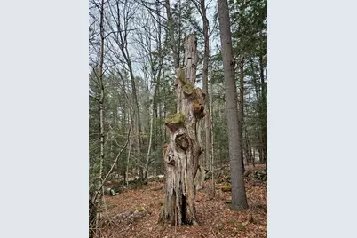 234 Old Cheshire Turnpike, Walpole, NH 03608 - Photo 5