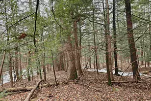 234 Old Cheshire Turnpike, Walpole, NH 03608 - Photo 7