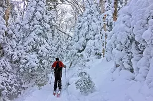 65-2 Clearbrook Rd, Lincoln, NH 03251 - Photo 31