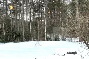 36 Forest Knoll Way, Waterville Valley, NH 03215 - Photo 23