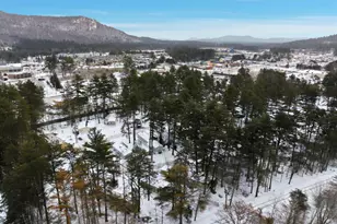 64 O&apos keefe Circle, Conway, NH 03860 - Photo 41