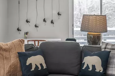 51 Tollhouse Lane #6A, Stowe, VT 05672 - Photo 11