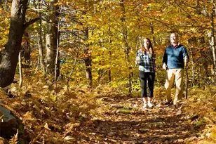 516 Steele Hill Rd, Sanbornton, NH 03269 - Photo 11