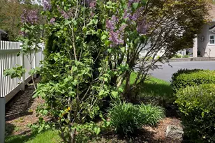 44 Cricket Ln, Manchester, NH 03104 - Photo 43