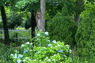 44 Cricket Ln, Manchester, NH 03104 - Photo 45