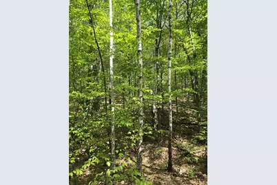 David Thompson Drive #10, Campton, NH 03223 - Photo 1