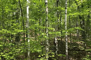 David Thompson Dr, Campton, NH 03223 - Photo 1