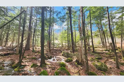 231 Valley Road, New Durham, NH 03855 - Photo 13