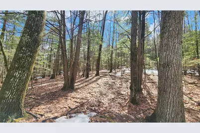 231 Valley Road, New Durham, NH 03855 - Photo 19