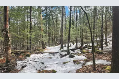 231 Valley Road, New Durham, NH 03855 - Photo 9