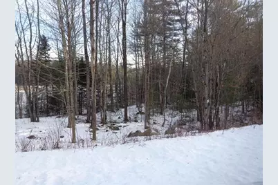 30 Phelps Lane #1, Danbury, NH 03230 - Photo 7