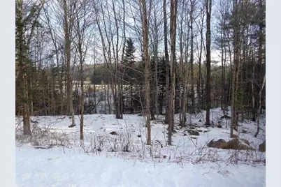 30 Phelps Lane #1, Danbury, NH 03230 - Photo 5