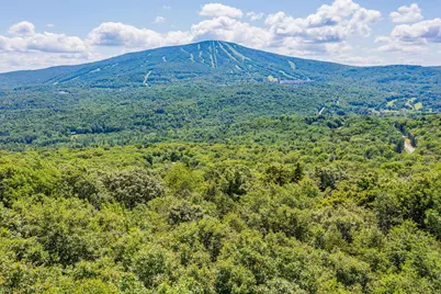 4.1 Pearl Buck Drive, Winhall, VT 05340 - Photo 1