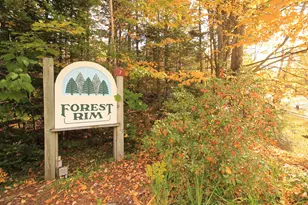 12 Forest Rim Way, Waterville Valley, NH 03215 - Photo 21