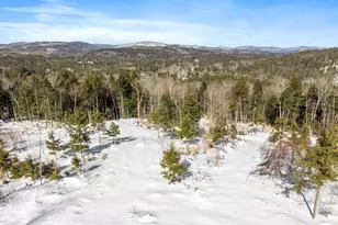 63 Old Winslow Rd, Wilmot, NH 03287 - Photo 1